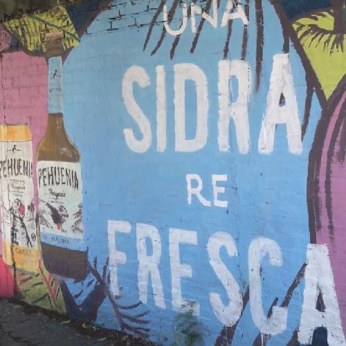 Mural Publicitario para Pehuenia